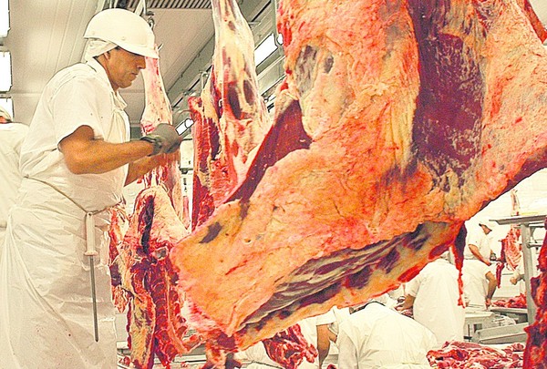 Chile y Rusia se llevaron el 67% de la carne vacuna en el primer semestre del año