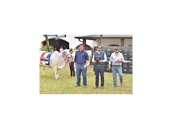 La Nelore pondrá en venta sus campeones