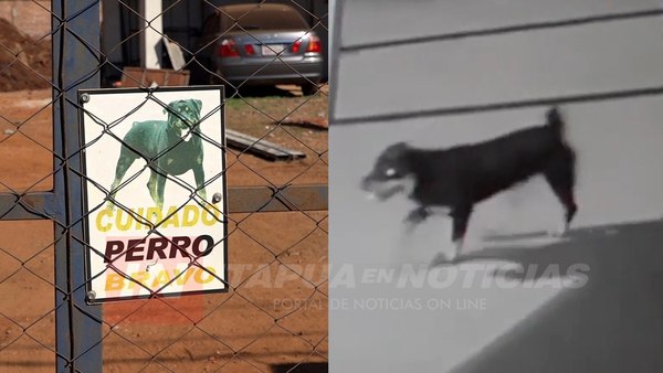 MÁS DE 100 MORDEDURAS DE PERRO ATENDIDAS EN EL HOSPITAL REGIONAL.