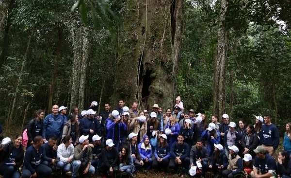 HOY / Surgen los primeros finalistas  de "Los Colosos de la Tierra",  árboles con cientos de años