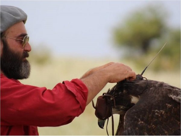 El biólogo argentino que giró el destino de un águila en peligro de extinción