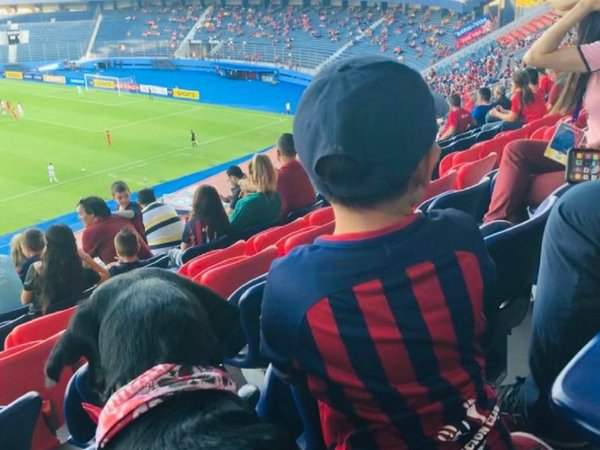 Lea, la perrita que acompañó a un niño autista al estadio para alentar a su club