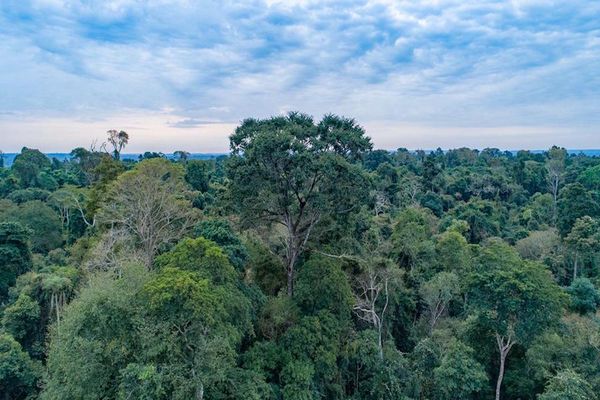 Dieron a conocer a dos finalistas de los Colosos de la Tierra