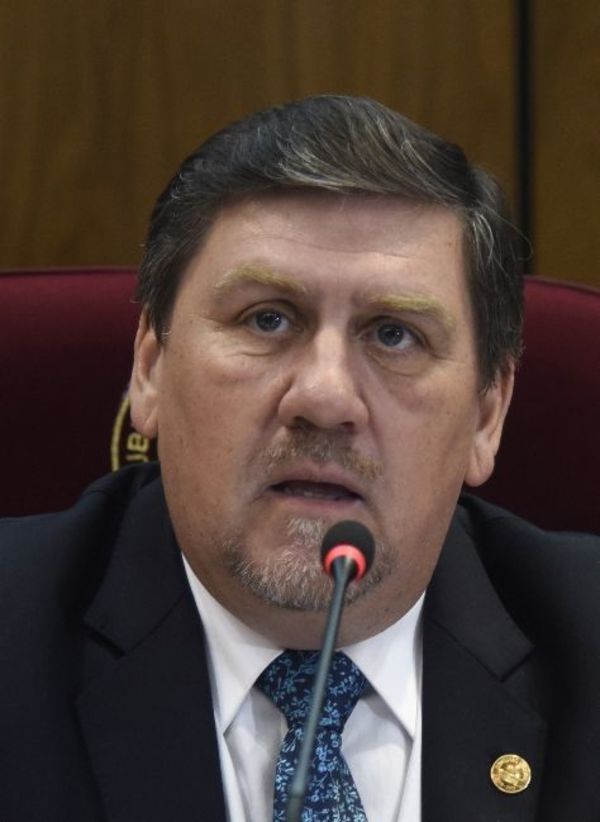 Llano señaló la  posibilidad de expulsión de Cubas del Senado - Política - ABC Color