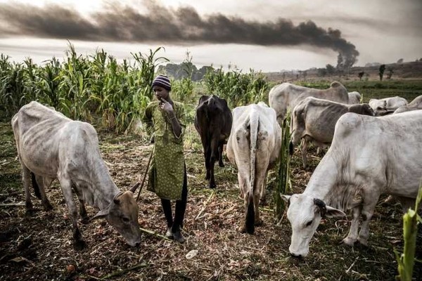 Al menos 37 muertos en ataques a aldeas del noroeste de Nigeria » Ñanduti