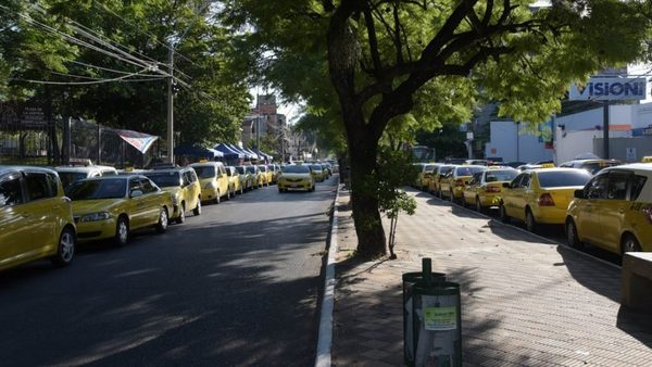 Se viene otro enjambre amarillo | Noticias Paraguay