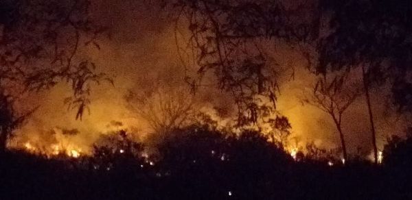 Bomberos evitaron que un gran incendio alcanzara viviendas - Interior - ABC Color