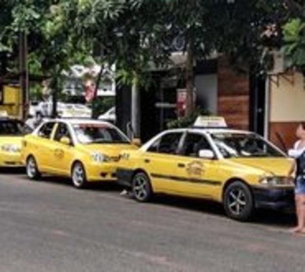 Autoridades se preparan para el enjambre amarillo - Paraguay.com
