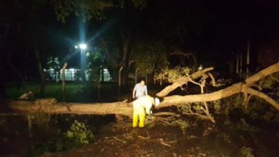 ANDE registró unos 23 alimentadores fuera de servicio a consecuencia del fuerte viento - .::RADIO NACIONAL::.