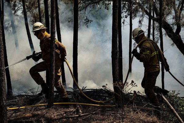 Más de mil bomberos, decenas de heridos y un detenido por un feroz incendio en el corazón de Portugal | .::Agencia IP::.