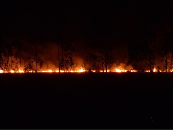 Incendios de pastizales en Itapúa preocupa a bomberos voluntarios