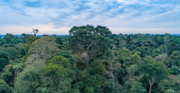 Un finde purete a todo pulmón, primera expedición de los Colosos 2019