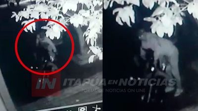 HURTO DE MOTOCICLETA QUEDÓ GRABADO EN EL CIRCUITO CERRADO