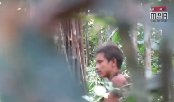 Indígenas difunden imágenes de etnia amazónica aislada y amenazada por madereros en Brasil