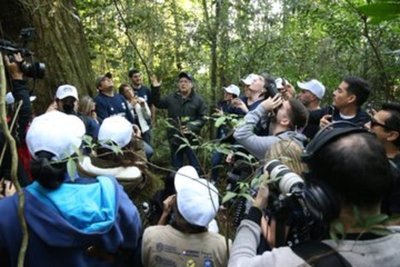 Concluyó primer fin de semana de expediciones de Colosos de la Tierra 2019 » Ñanduti