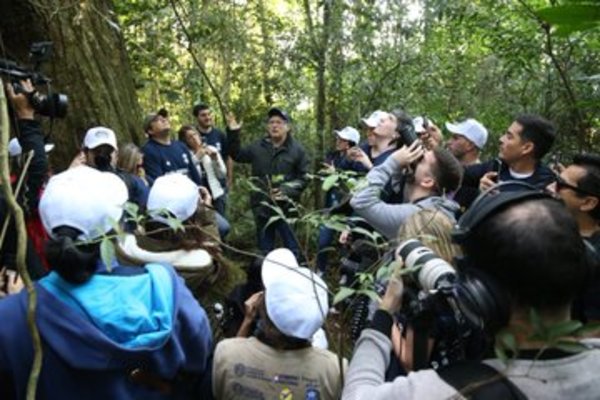 Concluyó primer fin de semana de expediciones de Colosos de la Tierra 2019 » Ñanduti