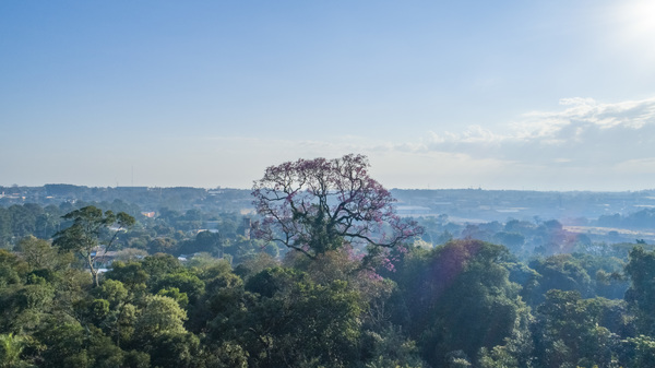 Estos fueron los primeros Colosos de la Tierra visitados por A Todo Pulmón » Ñanduti