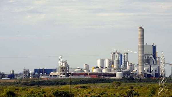 Gobierno y ambientalistas enfrentados por segunda planta de UPM en Uruguay