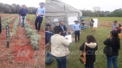 GRAL. DELGADO: PROYECTAN CULTIVO DE HIERBAS MEDICINALES CON FINES INDUSTRIALES