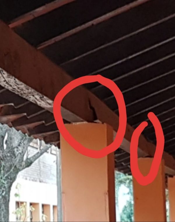 Esc. Sgto. Silva: Emergencia desde mayo de 2018 | San Lorenzo Py