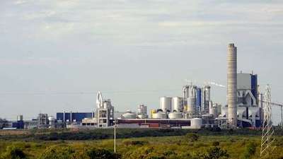 Gobierno y ambientalistas enfrentados por segunda planta de UPM en Uruguay
