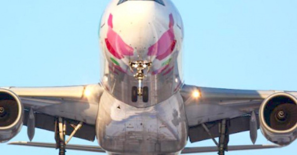 Un niño viajó de pirata en un avión