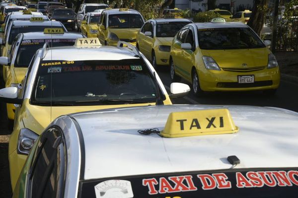 “Vacío legal” en transferencias de paradas de taxis  - Nacionales - ABC Color