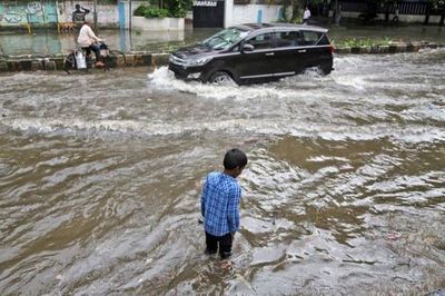 Tormenta eléctrica en India: más de 50 personas murieron por la caída de rayos | .::Agencia IP::.