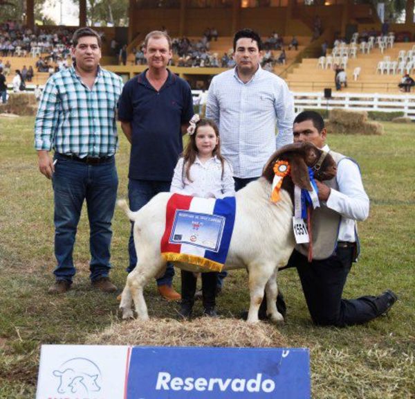 Reservados de Campeones Caprinos. Expo Internacional MRA. 2019 - ABC Rural - ABC Color