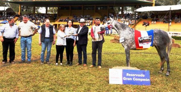 Reservados de Campeones Equinos. Expo MRA. 2019 - ABC Rural - ABC Color