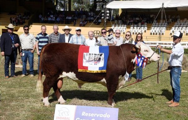 Reservados de Campeones Bovinos. Expo de MRA. 2019 - ABC Rural - ABC Color