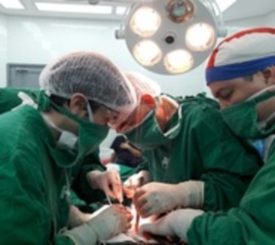 Reglamentan 'Ley Anita' - Paraguay.com