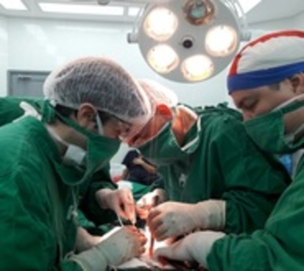 Reglamentan 'Ley Anita' - Paraguay.com