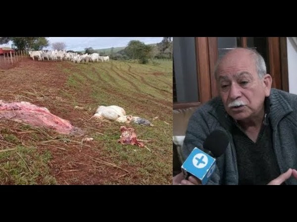 GANADEROS RECLAMAN MAYOR ACCIÓN CONTRA EL ABIGEATO