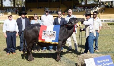 Reservados de Campeones Bubalinos. Expo Internacional MRA. 2019 - ABC Rural - ABC Color