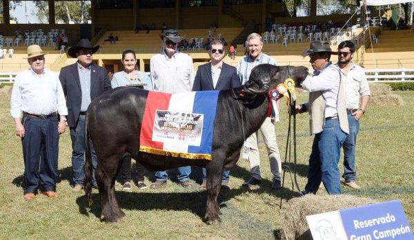 Reservados de Campeones Bubalinos. Expo Internacional MRA. 2019 - ABC Rural - ABC Color