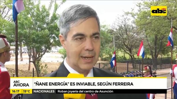 Ñane energía es inviable según Ferreira - ABC Noticias - ABC Color