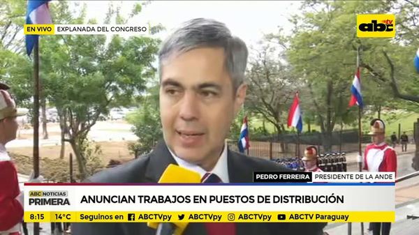 Ñane energía “sería difícil de sostener” - ABC Noticias - ABC Color