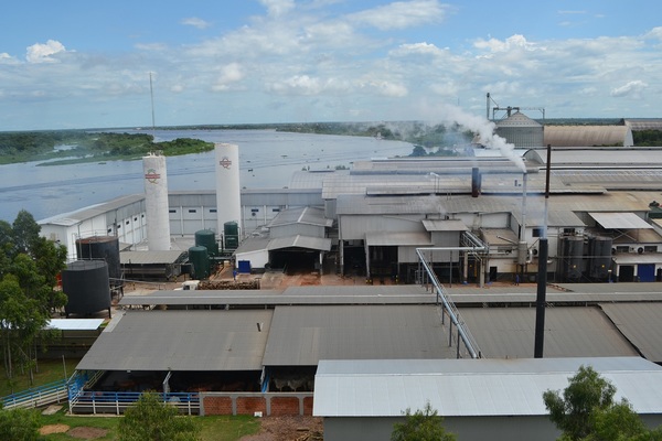 Multinacional brasileña habría recibido oferta para compra del Frigorífico Concepción