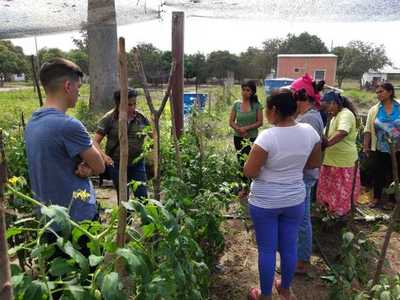 Nativos cosechan producción hortícola