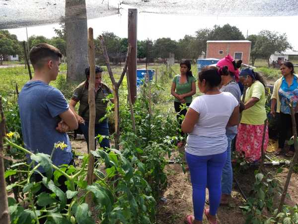 Nativos cosechan producción hortícola