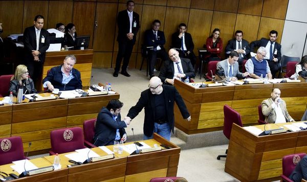 Senado suspende por 60 días a Payo Cubas y Enrique Riera - Política - ABC Color