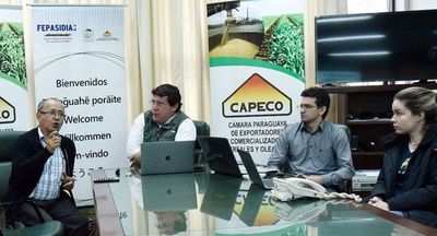 Siembra directa es un desafío para el Chaco, dicen expertos - Economía - ABC Color