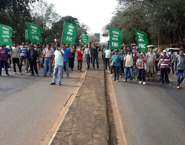 Piden compensación, semillas e insumos - Economía - ABC Color