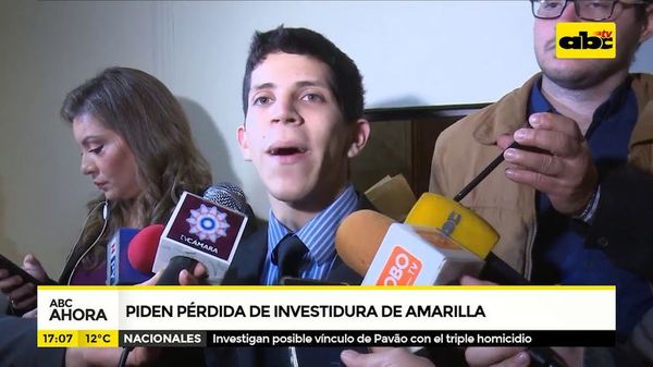 Llamativo pedido de pérdida de investidura para Celeste Amarilla - ABC Noticias - ABC Color