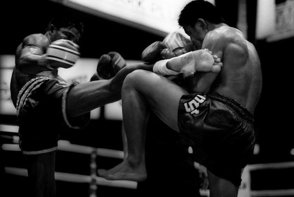 El ring espera a los mejores competidores