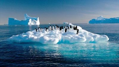 El calentamiento global actual no tiene precedentes en 2.000 años