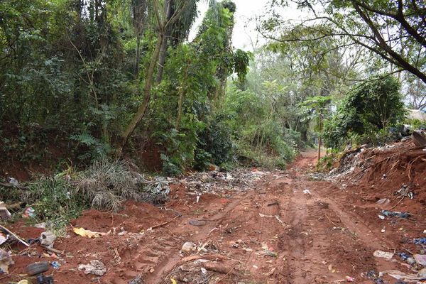 Camión recolector de la Municipalidad de Areguá descargó basura en calle vecinal - Nacionales - ABC Color