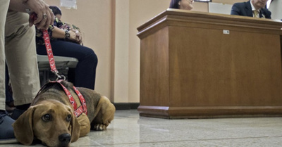 Jagua’i, llamado a  declarar en juicio