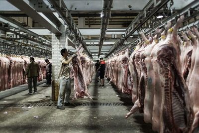 Posponen proyecto de Instituto de la Carne